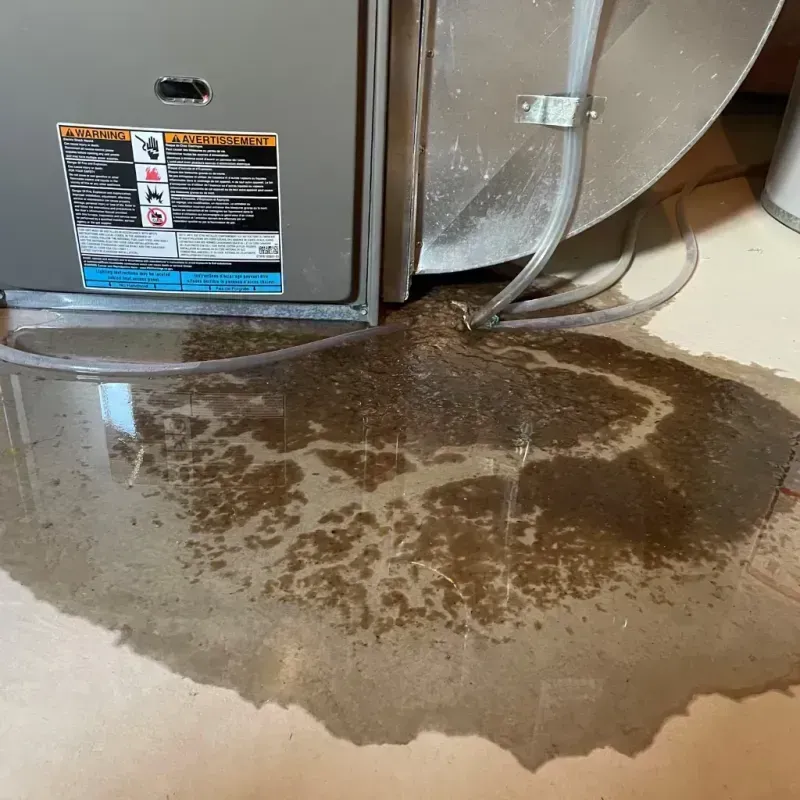 Appliance Leak Cleanup in Francis, UT